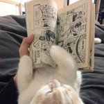 <b>내사</b>랑 먹엉