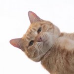 [19] 가슴 큰 애들아 너네 <b>방법</b> <b>공유</b>좀..