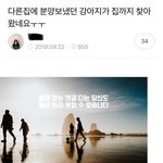 [드루와] 다른집에 <b>분양</b>보냈던 강아지가 집까지 찾아왔네요ㅜㅜ