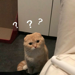 [댓글부탁해] 엄마가 <b>세뱃돈</b> 받는다고 용돈 안 준다는데 말이 돼...