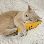 <b>시렁</b>!!!!!!