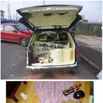 [피식주의] 당신의 인내심을 테스트한다.