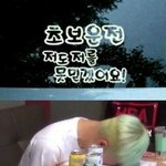 [방탄소년단] 유형별 <b>초보</b> 운전 문구