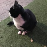 [댓글부탁해] 너네는 어케 생각함??