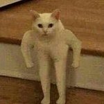 꽁지 ㅈㄴ잘사나바,,