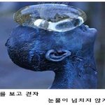 [댓글부탁해] 이렇게 살 수 있다면 당장 죽을 수도 있어