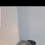 반려<b>동물</b> 키우며 신세계를 경험했던 연청맘 입니다.