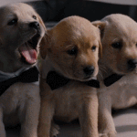 [댓글부탁해] 탈<b>덕</b>한그룹 <b>과거</b>영상 보니까 눈물난다 ㅋㅋ