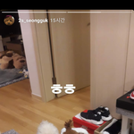 [댓글부탁해] 쿠션추천해주면 2019년안좋은일없이 술술<b>풀림</b>