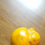 [드루와] 돌연<b>변이</b> 과일 발견함;;