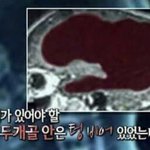 [댓글부탁해] 최애 더 <b>정떨</b>인거 ㅊㅂ