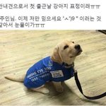 [ㅈㄱㄴ] 나 ㄹㅇ <b>역변</b>해서 고백 많이 받앗당