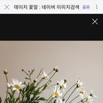 [조언부탁해] 혐주의)어떻게 하면 피부 좋아질까..?ㅜㅠㅠ