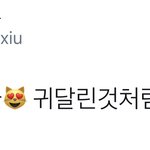 [시우민] 시우민 칠레 슴콘 단체샷에서 혼자