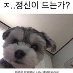 피시방에 <b>봄봄</b> 같은 음료수 들고가도 돼?