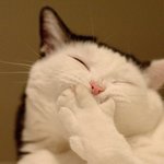 <b>수영</b>이 사진보면 이렇게됨