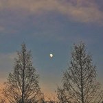 [댓글부탁해] 스무살들 계신<b>가여</b>