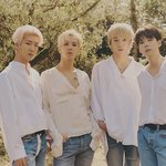 [위너] 시그 영상 봤어?