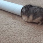 [피식주의] 피식하며 머리 좀 식히죠~