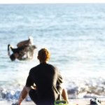 [EXO] 바다에 뛰어드는 찬열을 <b>평온</b>하게 바라보는 종대