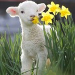 [약<b>19</b>] 남사친이랑 살짝 ㅇㅑ했던 <b>썰</b>,,^^