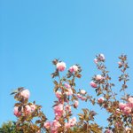 [사진ㅇ] 내 취미 보고 가라 얘두라!!