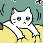 아니 근데 나만 재현파,<b>찬</b>열파인가..?