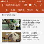 [댓글부탁해] 이 유튜브 <b>채널</b> 왜이랭...????