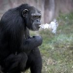 [EXO] 노잼이래 그만하자 <b>후우</b>ㅡ