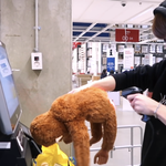 [NCT] ㅅㄷ 오늘 <b>이케아</b> 갔다 와서