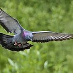 [EXO] 나 푸드덕 푸드덕 푸드<b>덕대</b>