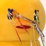 코 엄청 뜨고 각질 오지는데 어떻게 해,,?