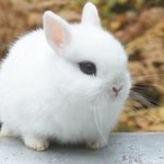 [19] <b>남여</b> 둘다 있