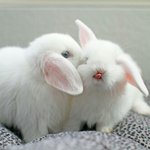 너도 괜찮다면 우리 <b>만나자</b>