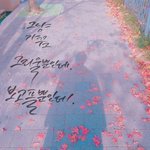 <b>캘리</b>그라피가 취미인 남돌