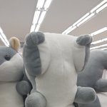 [댓글부탁해] 다이소<b>필통</b> 이거 어때