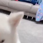 [방탄소년단] 뒤에ㅋㅋㅋㅋㅋㅋㅋㅋㅋ