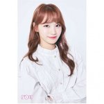 [드루와] 아이즈원 <b>한국멤버</b> 중 일본에서 가장 인기많다는 <b>멤버</b>