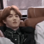 [EXO] 본인 벌칙 얘기하는데 무념<b>무상</b> 토끼