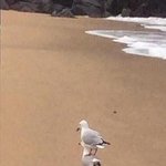 [드루와] 둘 중에 한 명하고 친구를 해야 한다면 어떠칼래