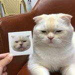 친구가 나보고 <b>새우</b>닮았다는데