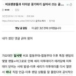 지금 트위터에 돌아다니는 달샤벳 비원에이포