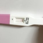 [19] 테스트기볼줄아는<b>판녀</b>있어?ㅠㅠ