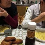[댓글부탁해] <b>실장</b>나갈까 학생회나갈까...???