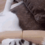 <b>오빵</b>~?