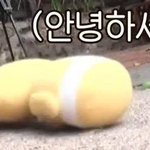 추반 ㄱ ㄱ