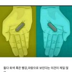 [댓글부탁해] <b>알약</b> 무슨 색으로 보여[심리테스트]
