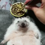 [피식주의] 다들 맛점했나요~