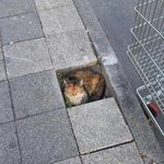 [댓글부탁해] 이거 <b>한문장</b>으로 쓸 수 있냐