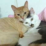 아니야  난 죽을때까지~
